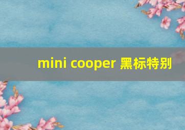 mini cooper 黑标特别